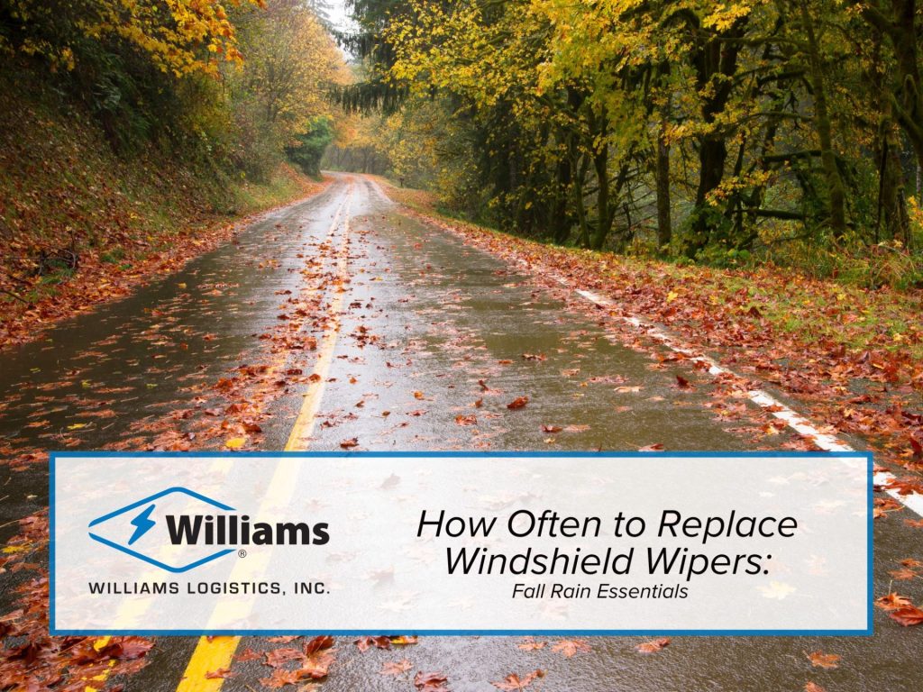 How Often to Replace Windshield Wipers: Fall Rain Essentials